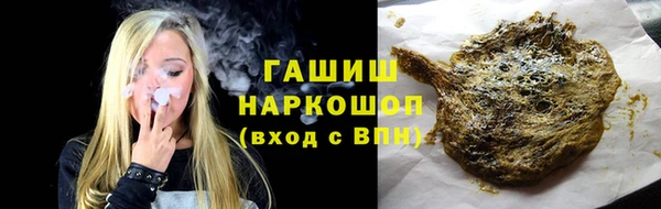 стафф Ельня