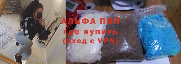 стафф Ельня