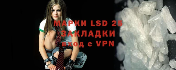 стафф Ельня