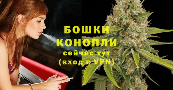 стафф Ельня