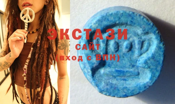 стафф Ельня
