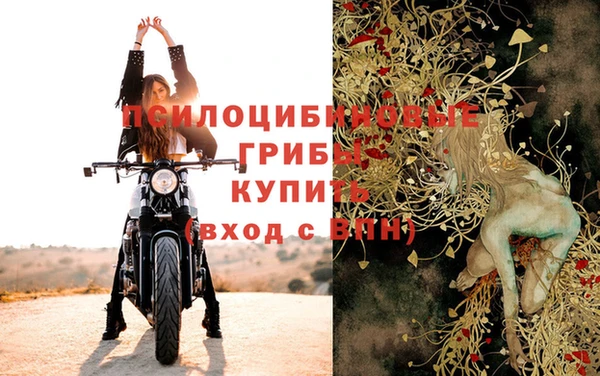 МДМА Елизово