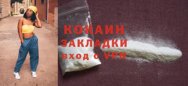 стафф Ельня