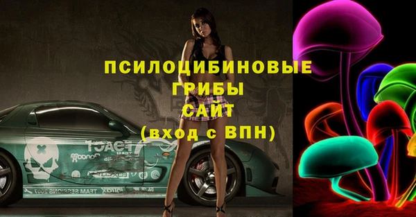 стафф Ельня