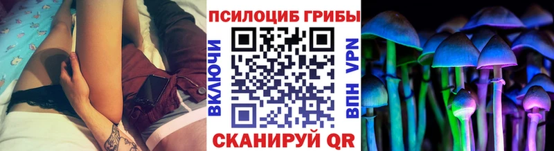закладка  Димитровград  Галлюциногенные грибы мухоморы 