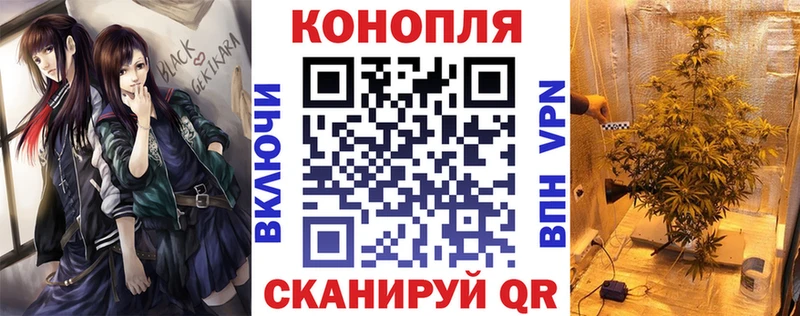 купить   Димитровград  Бошки Шишки ГИДРОПОН 